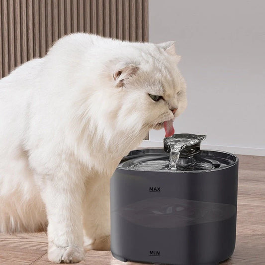 Hydration Made Easy – Cat Water Dispenser with Circulation System | Perfect for Homes