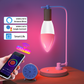 Smart E14 WiFi LED Bulb – RGB + White, Dimmable, Alexa/Google Home Compatible